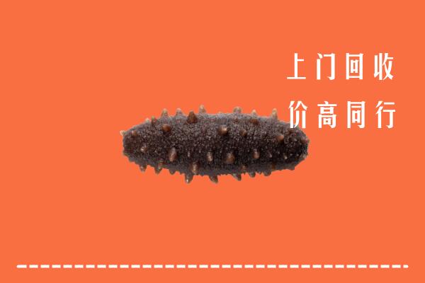内江市中回收海参