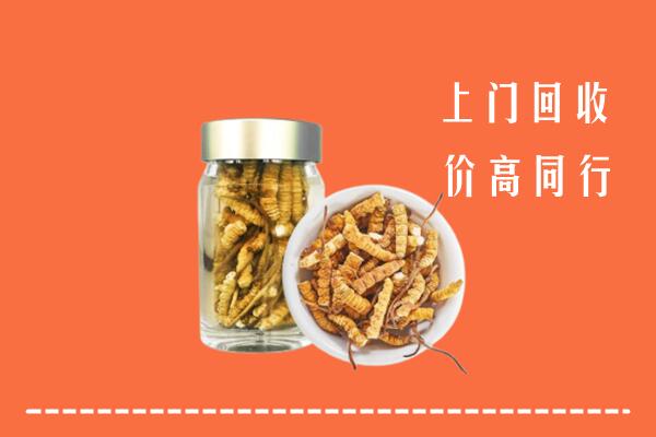 内江市中回收冬虫夏草