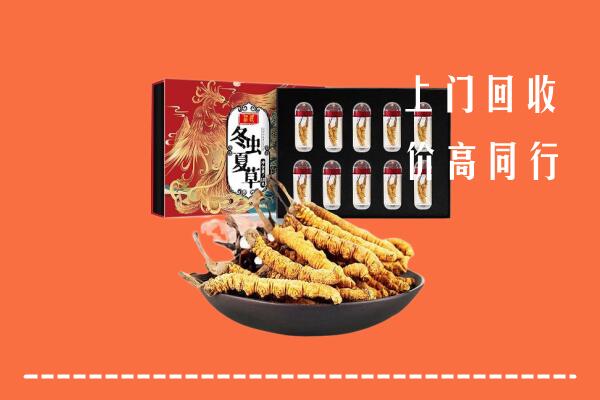 内江市中回收虫草